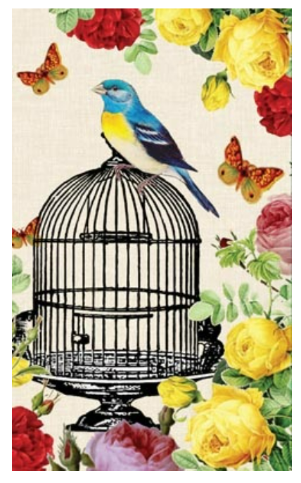 Gift Card Birdcage Blank