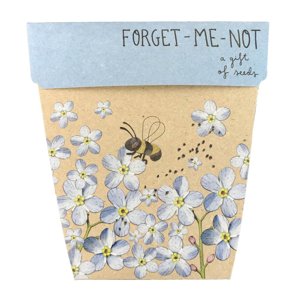 Gift Of Seeds Forget-Me-Not
