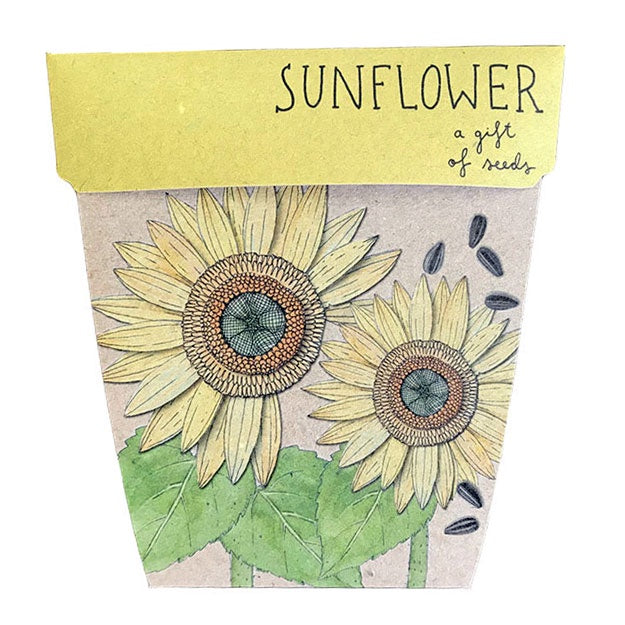 Gift Of Seeds Sunflower