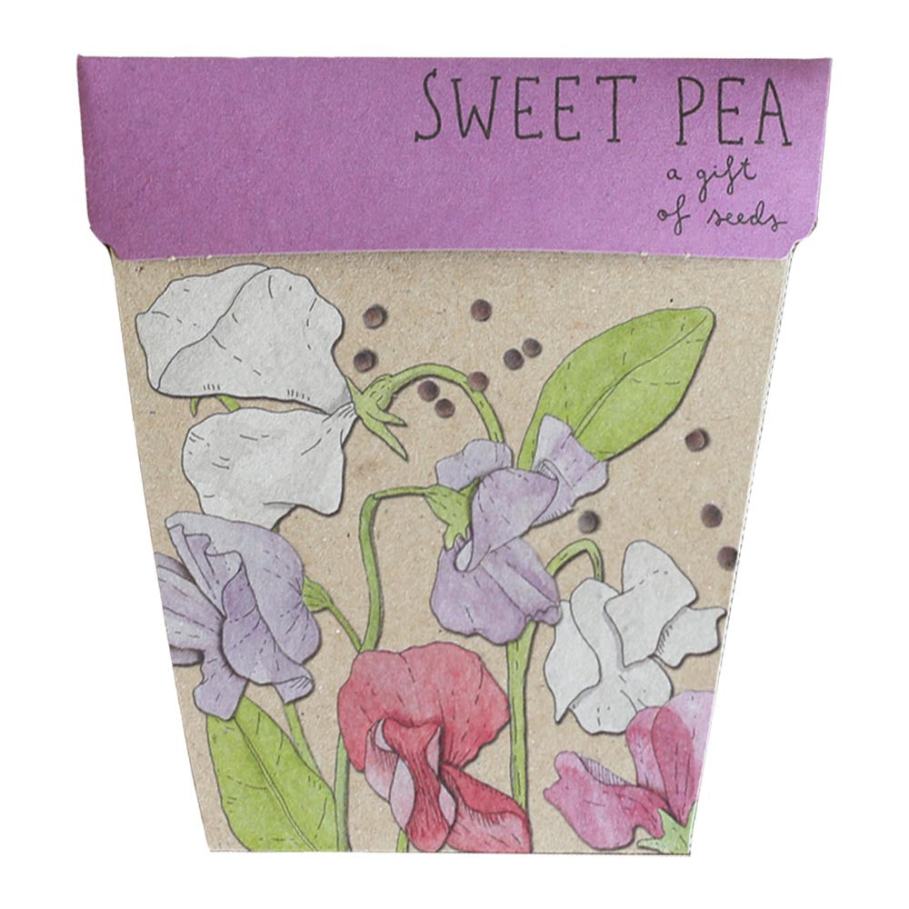 Gift Of Seeds Sweet Pea