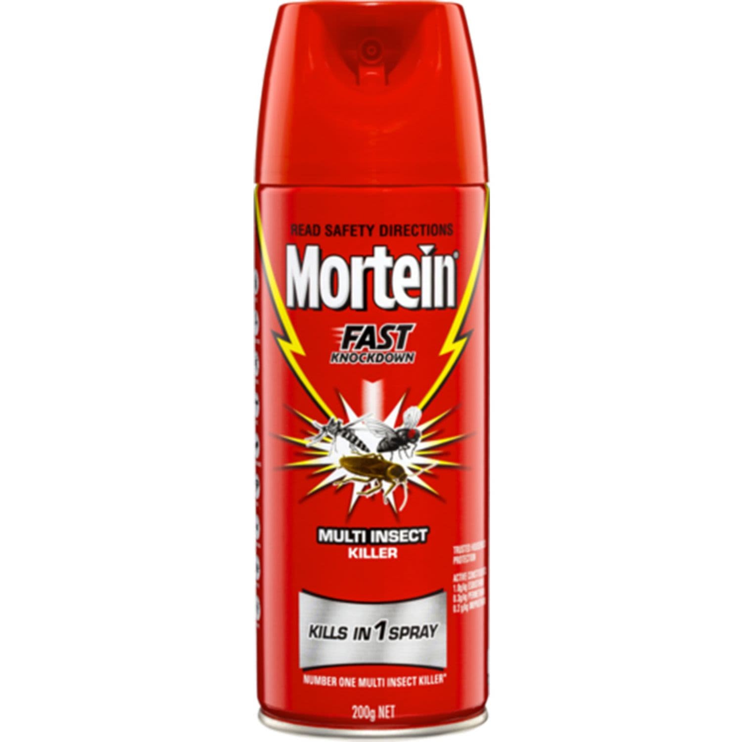 Mortein Aero Fast Knockdown Insect Spray 200g **