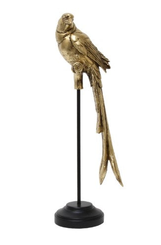Parrot on Stand - 36cm