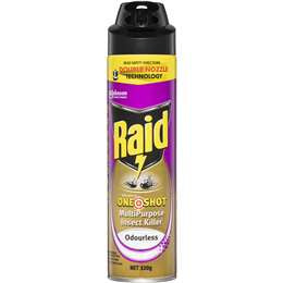 Raid One Shot Insect Killer Odourless 320g