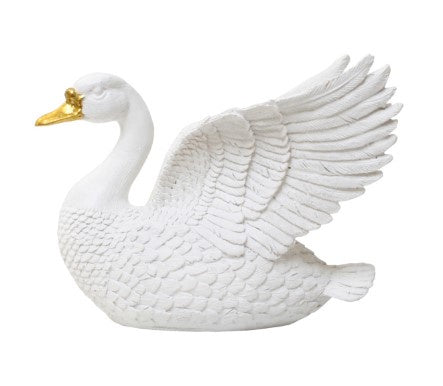 Swan White