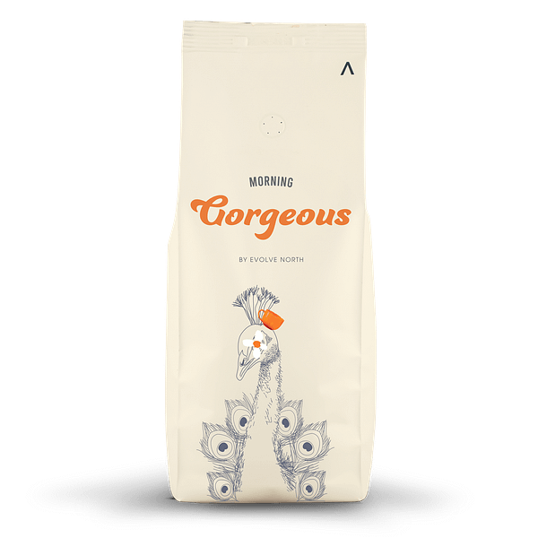 Evolve North Morning Gorgeous Coffee 1kg