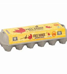 Community Co Free Range Eggs XL 700g