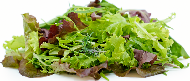 Mesclun Mix (Kg)