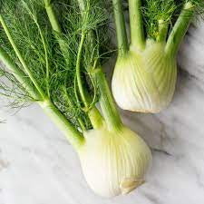 Fennel Bulb (ea)