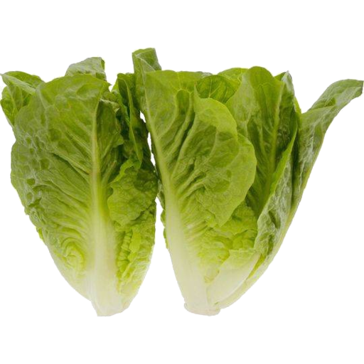 Lettuce (2pk) - Cos