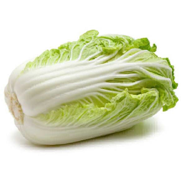 Cabbage (ea) - Wombok