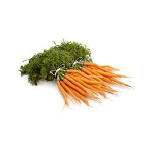 Carrots - Dutch (bunch)