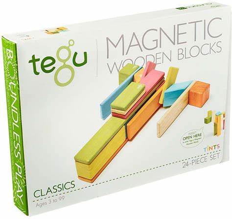 Tegu Magnetic Wooden Blocks 24 Pieces